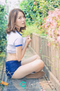 金银花露帐中香